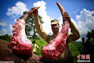 阿米提维尔的死亡收成,死亡收成的恐怖阴影