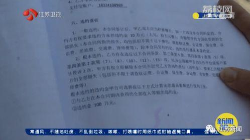 灵宝下山沈先生的玄学小外挂,沈先生玄学小外挂的奇幻之旅