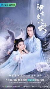 神君家的小白狐,灵狐传奇与神秘邂逅