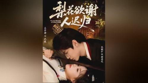 梨花欲谢人迟归