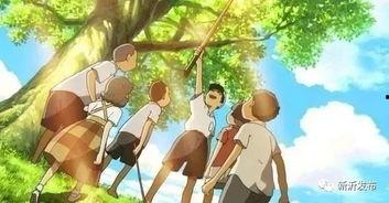 重返你的夏天,重温那段美好时光