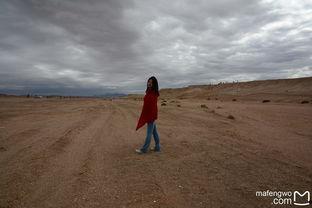 苍茫的天涯是我最爱